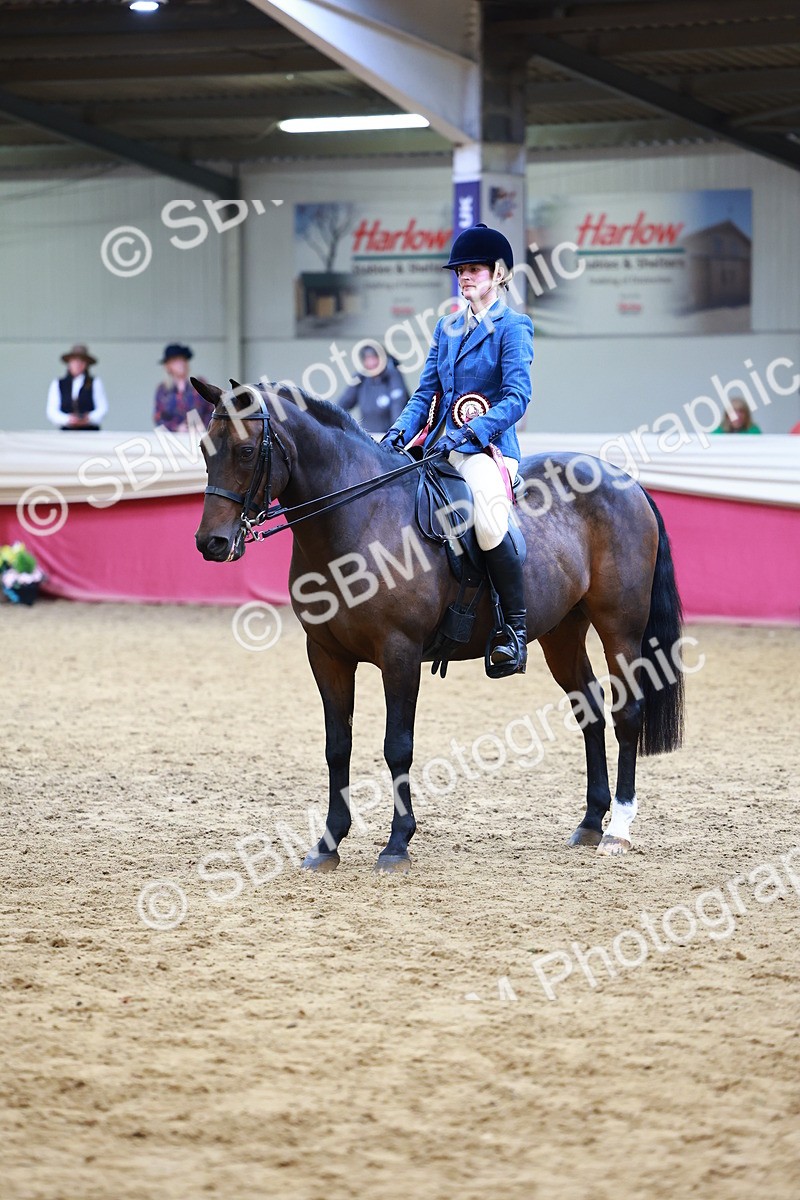 SBM_23501 - Class 904 - Supreme Final - Ridden Diamond