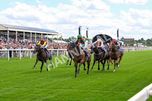 280625-Race 2-Quinault-0073 - Race 2 2.25pm Al Basti Equiworld Dubai Criterion Stakes