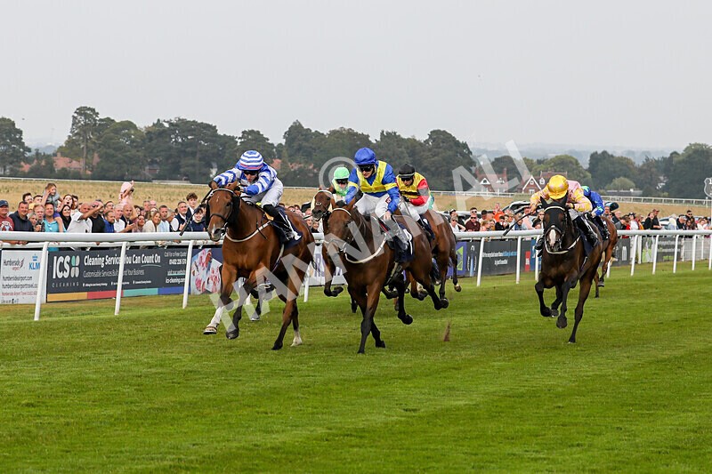 310824-Race 8-This Years Love-2349