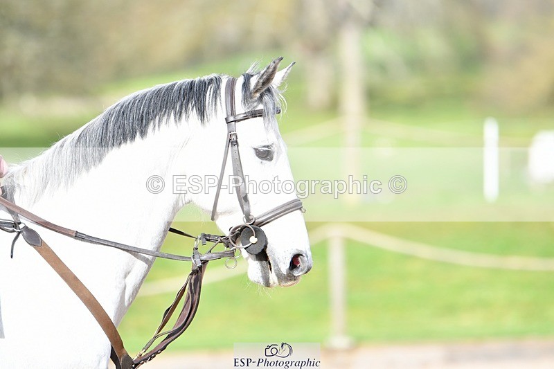 240324-092002-01807 - Cls 7 British Novice & 90cm Open
