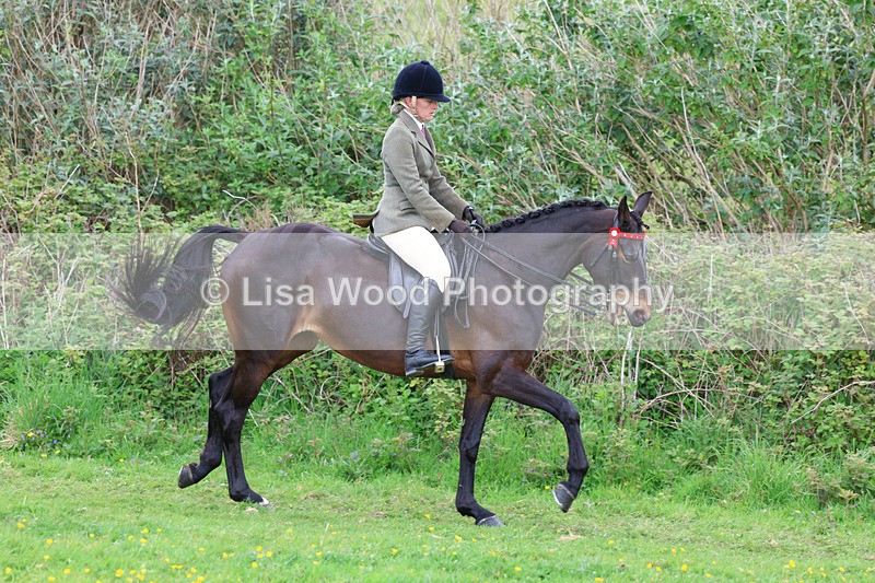 3E7A1973 - Class 10: Ridden Sports Horse