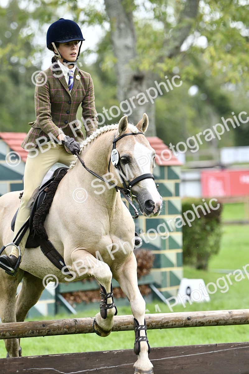 SBM_45597 - S33 - Working Hunter Pony