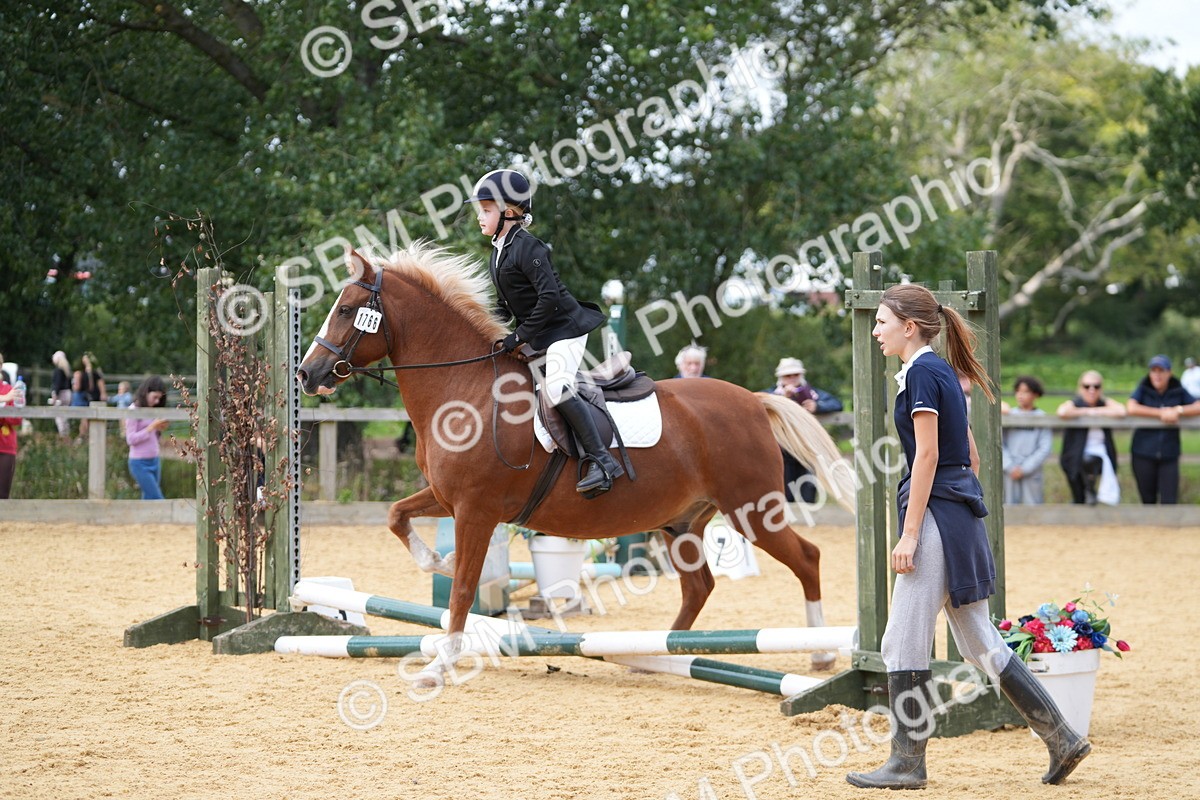 SBM_65666 - J2 - Mini Tour Junior Pony 30cm Championship