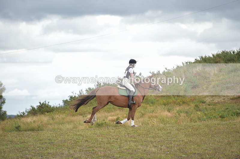 NGP_4260 - XC Time 12:36 to 12:57