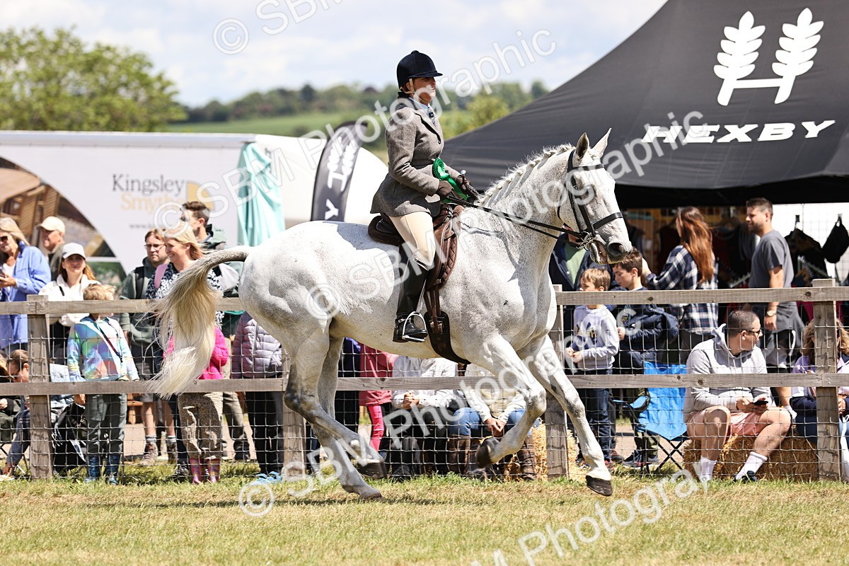 SBM_14768 - Class 88-89 - LIHS BSHA Rising Star of Ridden Hunter Type