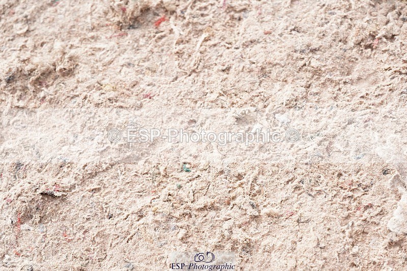 250426-102930-11872 - Cls 27 Young Horse 5yr old