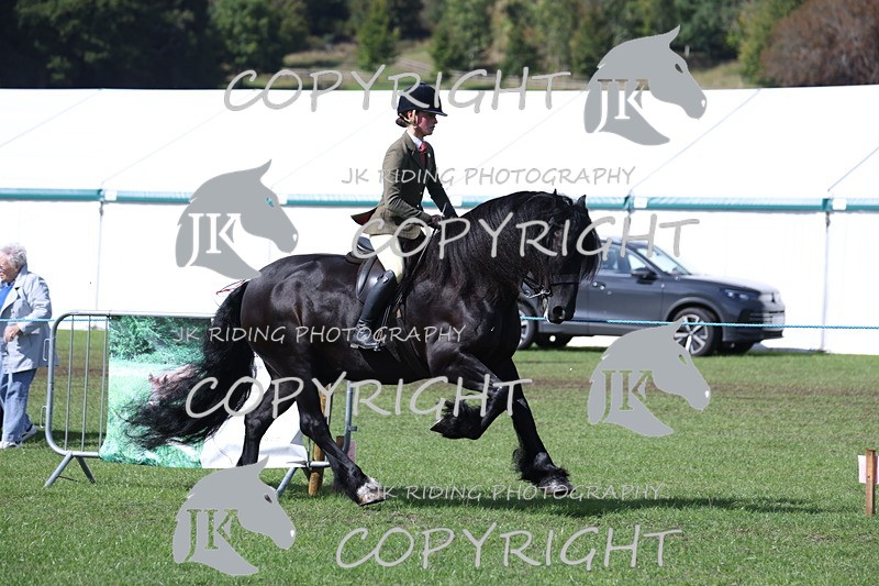 APP_3516 - Class 12 M&M ridden