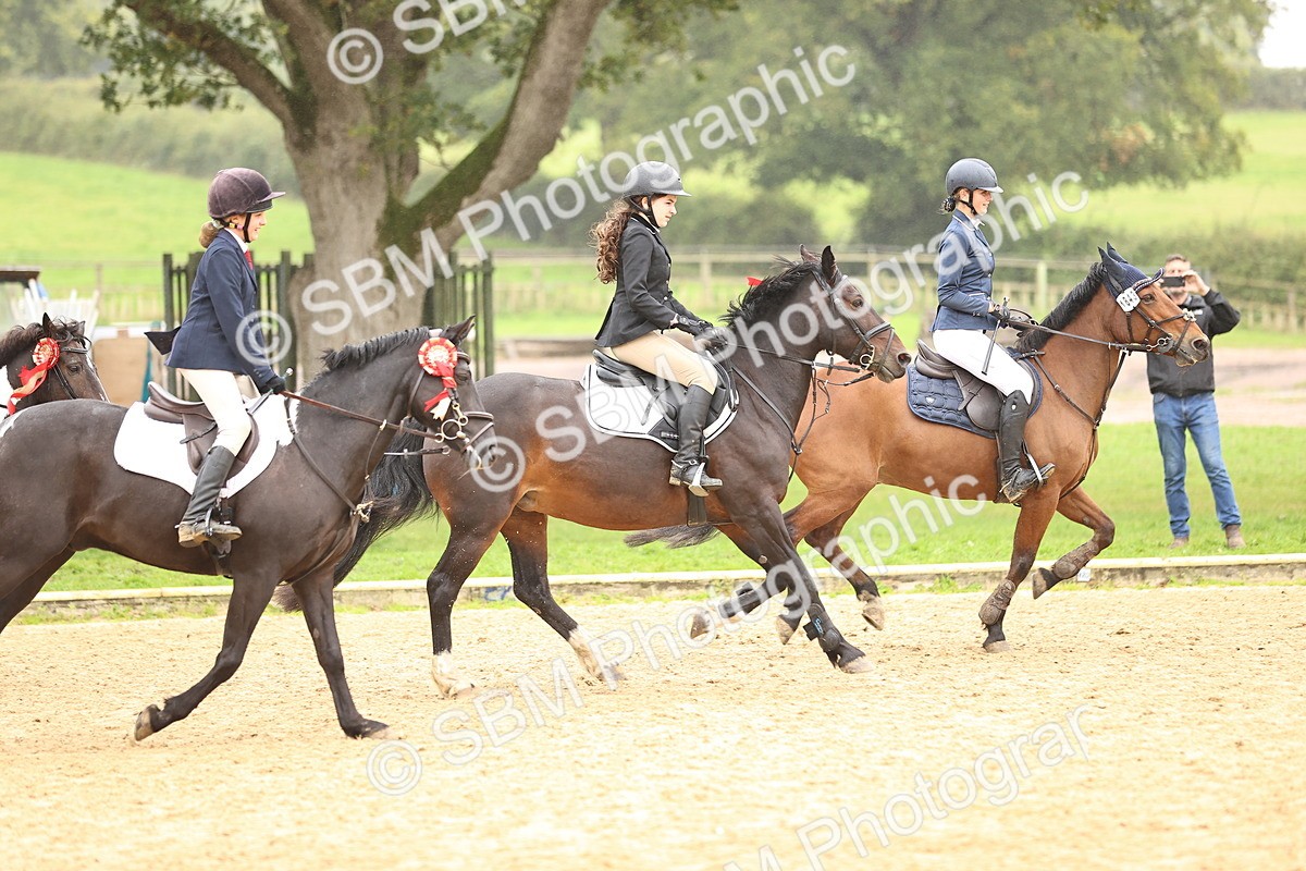 SBM_70115 - Supreme Championship 80cm 85cm