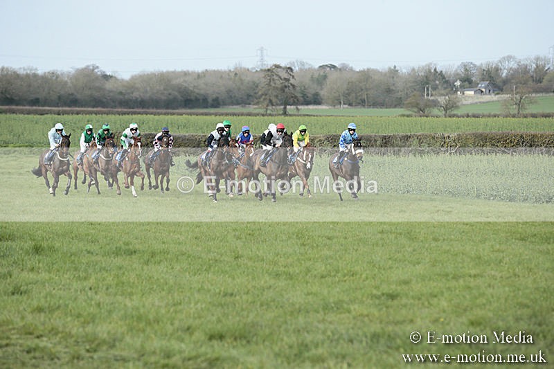 PtP 230319 396 - VWH Hunt Siddington Point-to-Point Racing 23/03/19