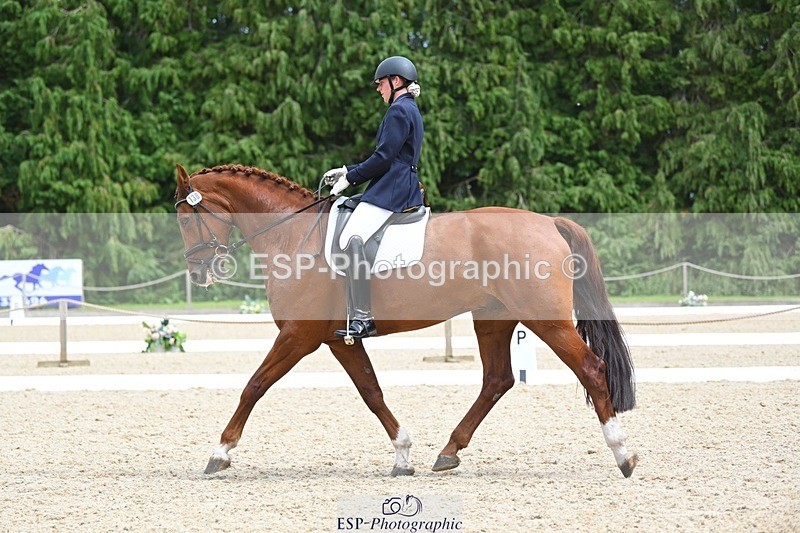 230813-140125-07663 - Cls 13 Medium Bronze 13.15 to End