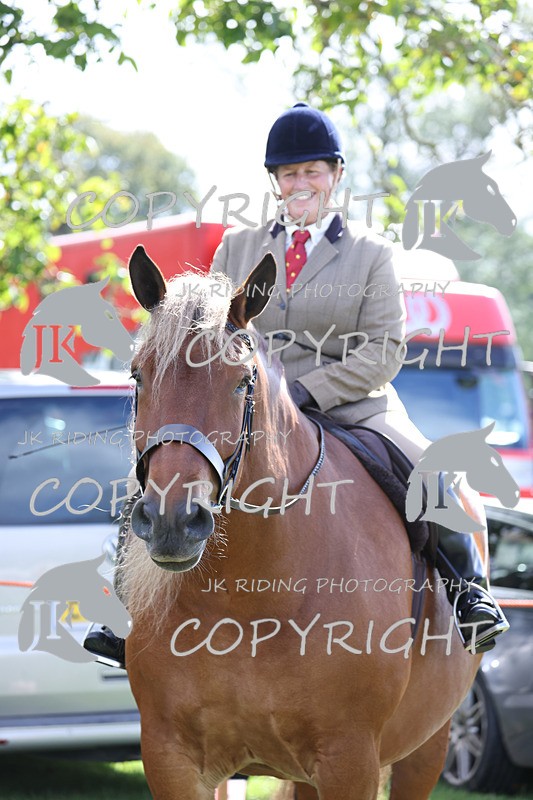 APP_3688 - Class 8 Ridden Class