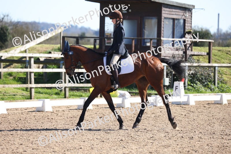 20260318-0601 - Class 6 - Novice 3