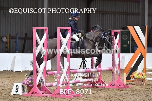 BPP_8071 - CLASS 1  Club/ Unaffiliated 60cms Open