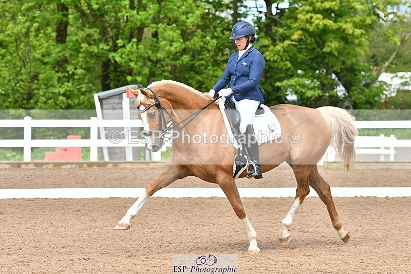 230511A-144747-01005 - BD Cls 14 Adv Medium 98