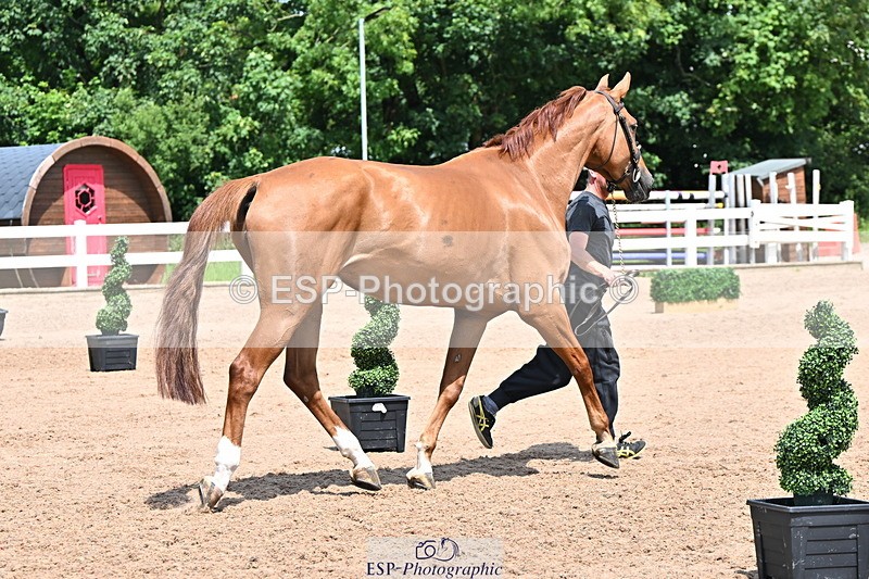 240718A-105318-01828 - Trot Up 1pm to 2pm