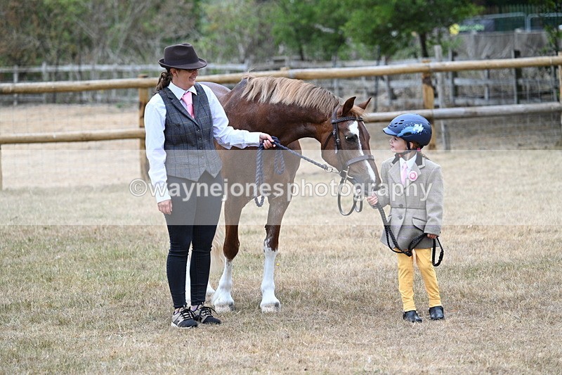 WJ7_8092 - Class 4 Prettiest Mare up to 14.2hh