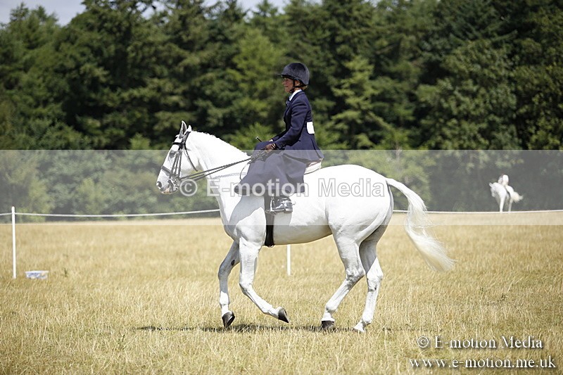 _C7A0239 - Side Saddle Classes BVRC Show 2018