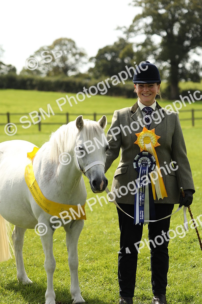 SBM_66381 - In Hand Pony & Youngstock Supreme Championship
