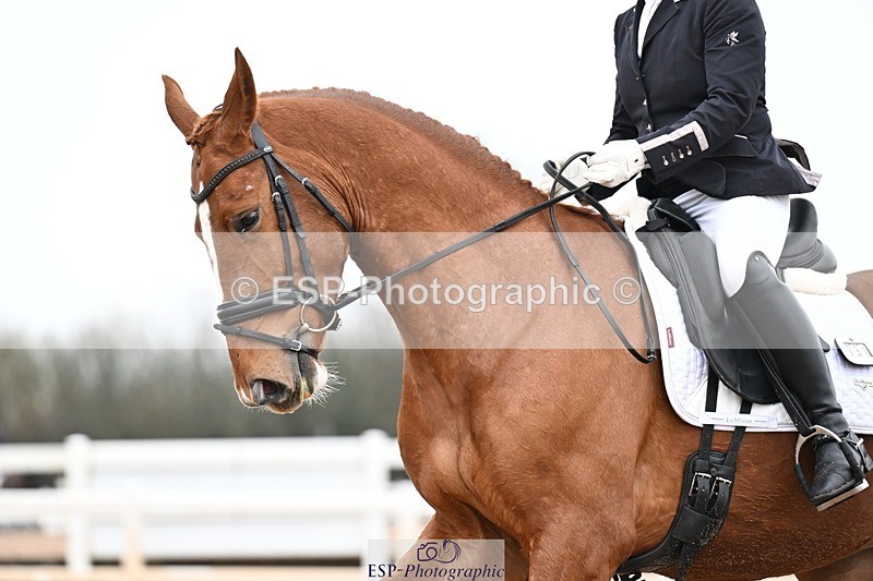 260215-114453-06082 - 131-Gail.Allum