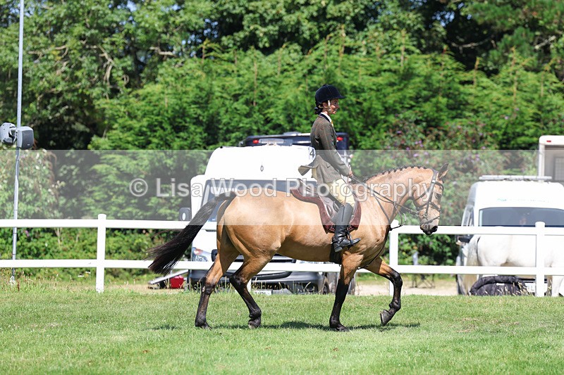 3E7A9122 - Working Hunter Championship