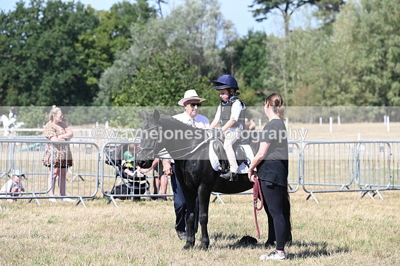 WJ6_8442 - Class 37a Best Loan Pony Ridden
