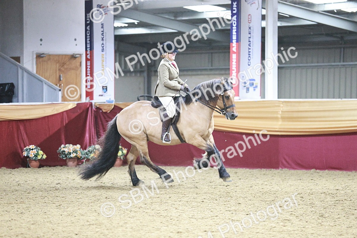 SBM_08115 - Class 11R - Regional Ridden Veteran