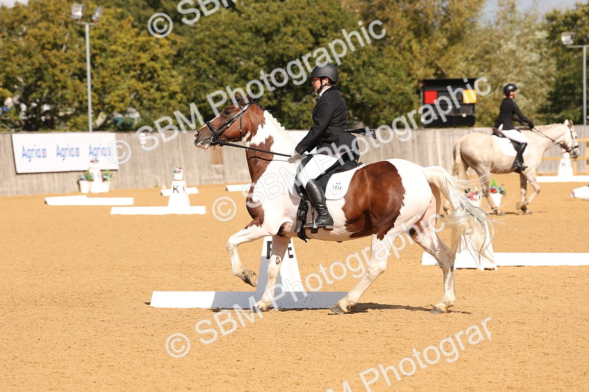 SBM_02311 - D10 - Small Tour Championship Prelim 2
