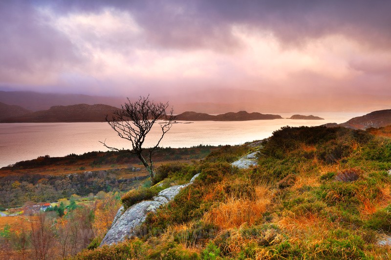 Loch Torridon.    ref 1172 - Scotland