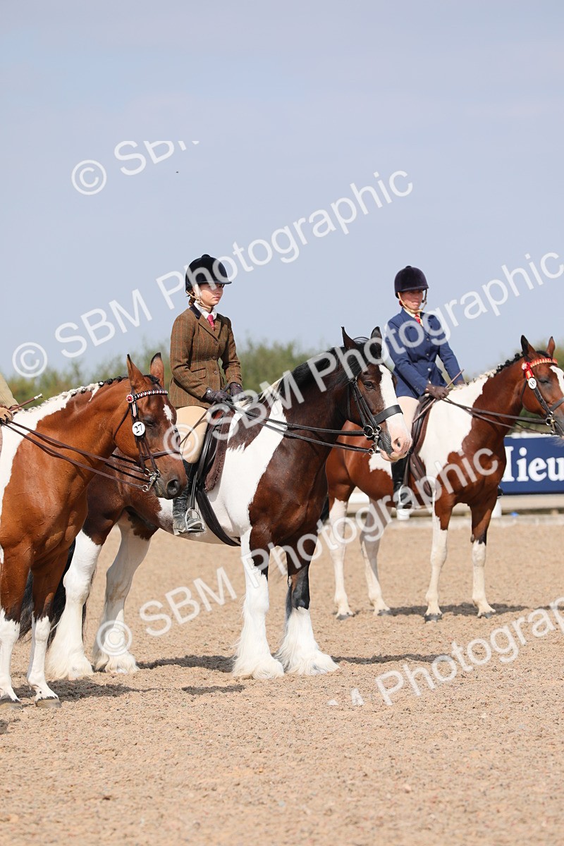 SBM_13502 - Class 308 Ridden Coloured Horse