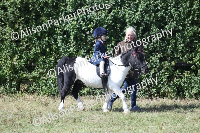 20250831-2638 - Class 17 - Lead Rein Pony