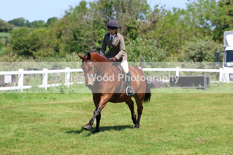3E7A7279 - Class 30: Novice Working Hunter