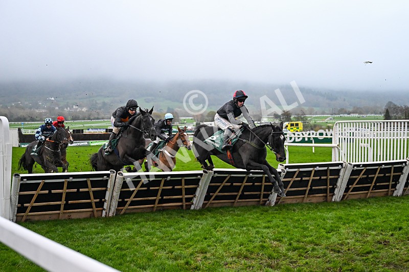 151125-Race 6-Littlefoot-4114 - Race 6