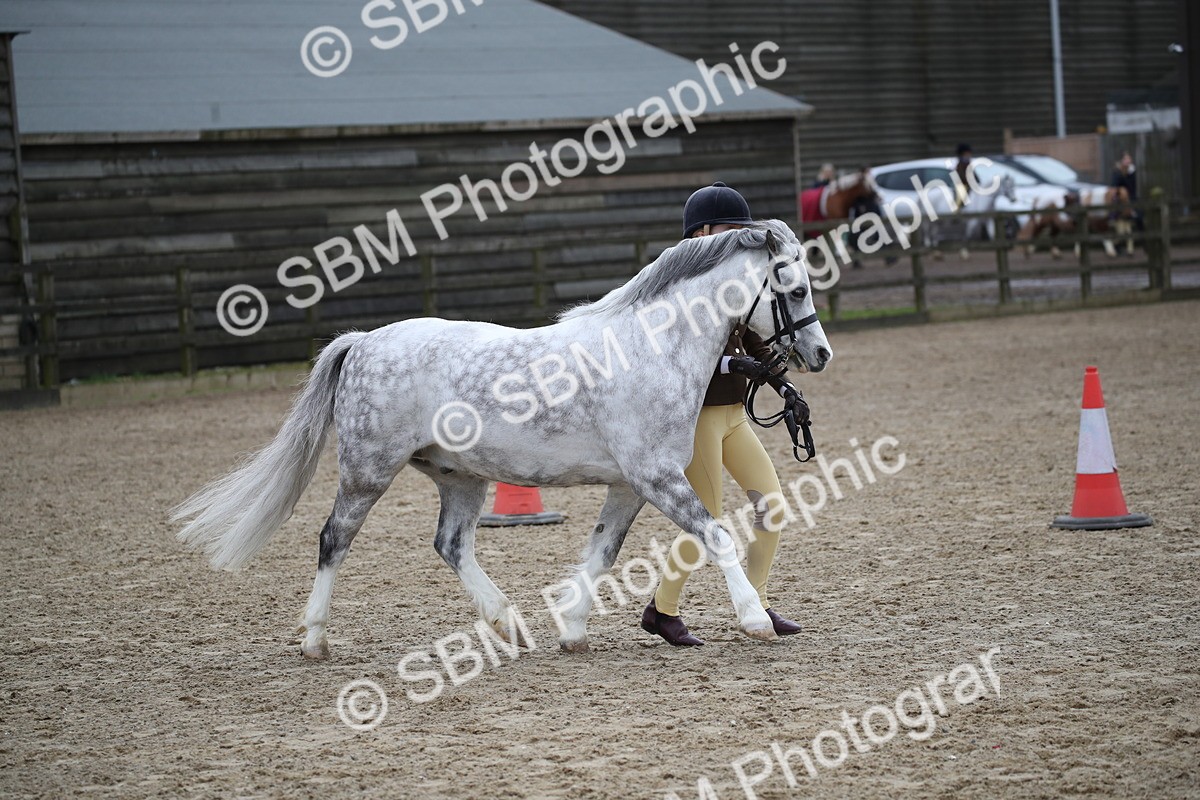 SBM_005965 - Class 10-13 - RIHS Small Large Breeds