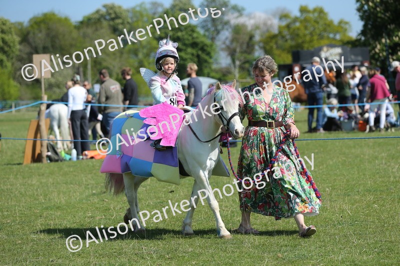 20250427-1750 - Class 5 - Fancy Dress