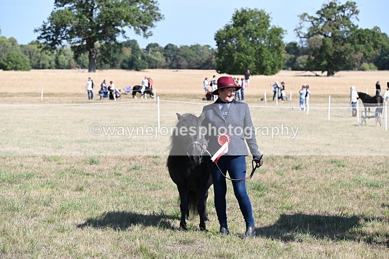 WJ6_4335 - Class 16 Condition & Turn Out