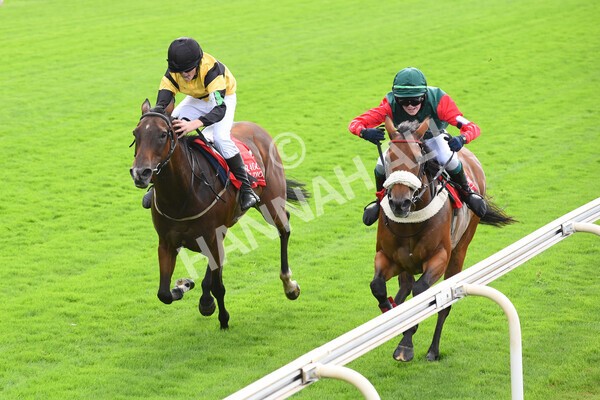 yr04092022p1-59 - 12.30pm 148cm Conditions Pony Race