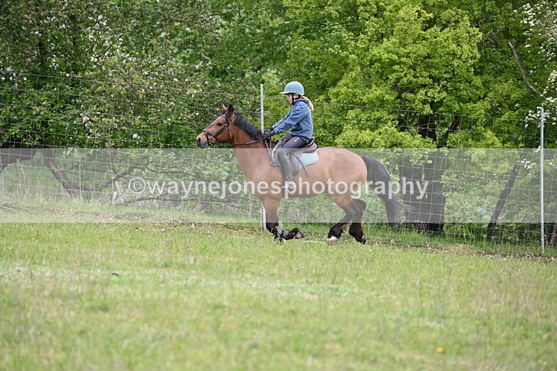 WJ6_1550 - Group 4 A&B Cameras