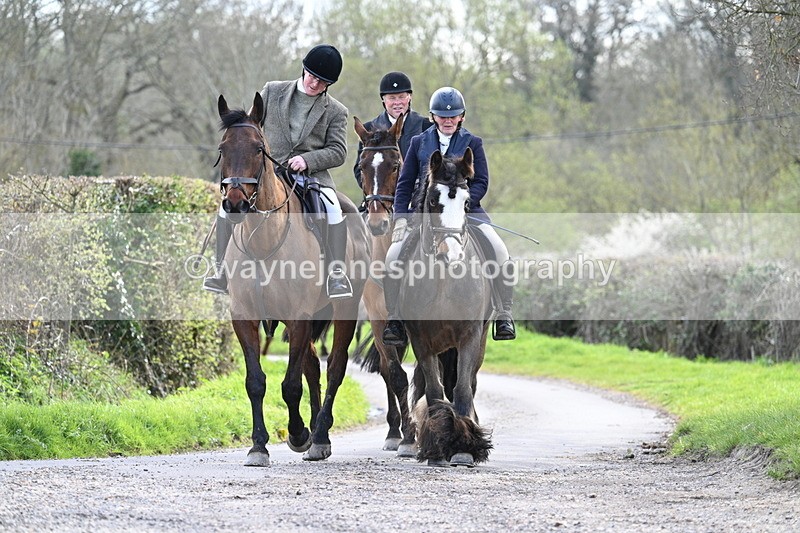 WJ7_9928 - Walk Home