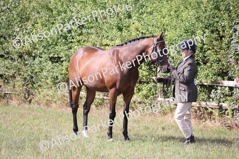 20260906-0673 - Class 22 - Ex Racehorse