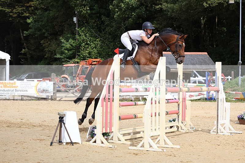 3E7A4329 - Class 8: Senior Foxhunter/1.20 open