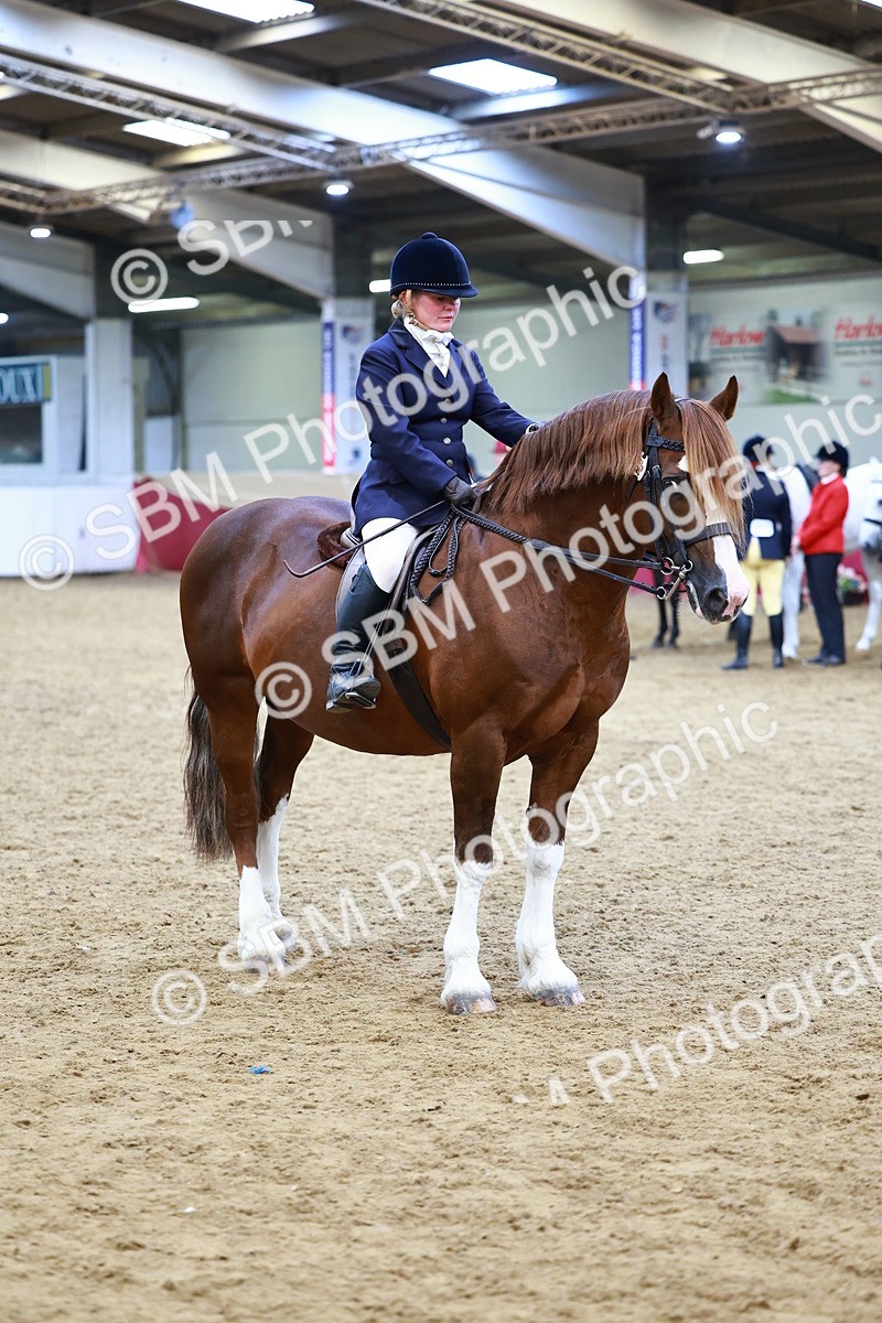 SBM_23404 - class 906 - Supreme Final - Ridden Pre Vet