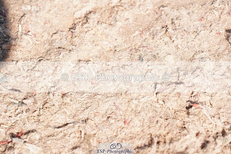 250510-094354-10115 - Cls 14 Snr 1.20m Open