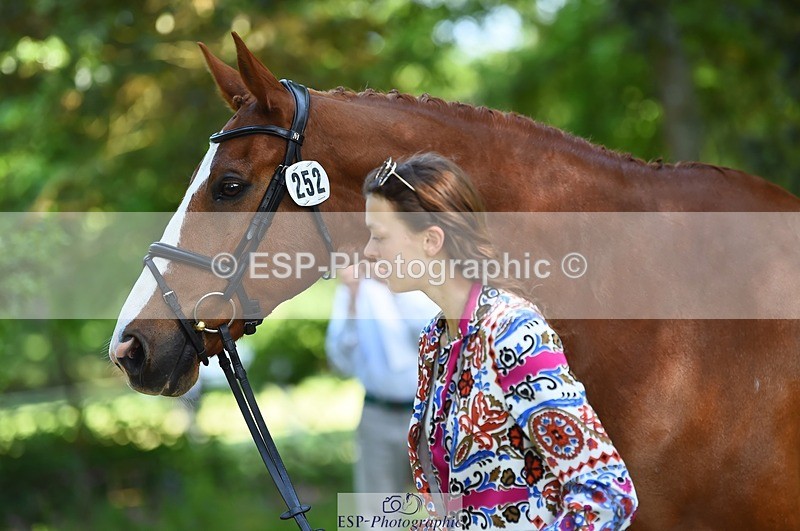 230524-161038-00738 - 252-LVS_MOVISTAR-Elizabeth_Barratt-WEDTrotUp+DR