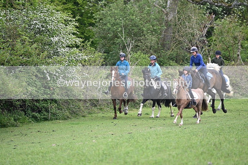 WJ6_2943 - A Camera