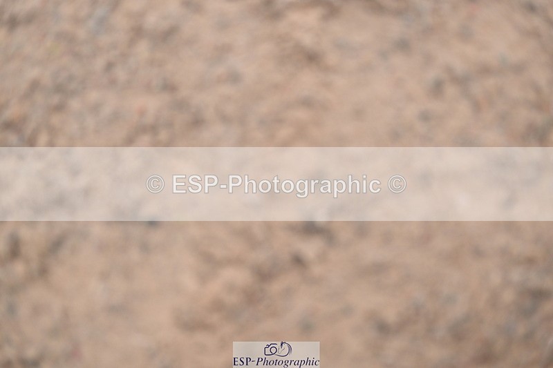 241006A-124541-07285 - Cls 26 1.10 Nat Am Qual