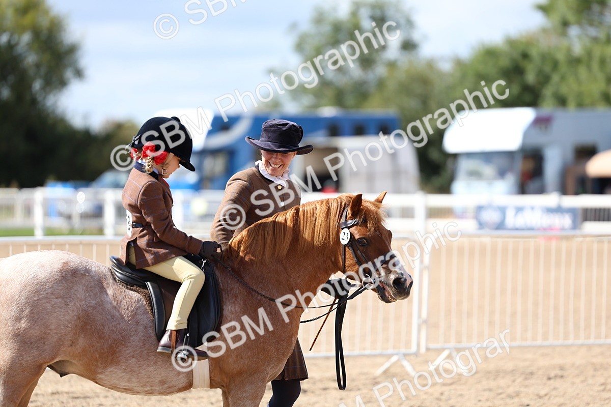 SBM_13031 - Class 309 - Lead Rein Pony