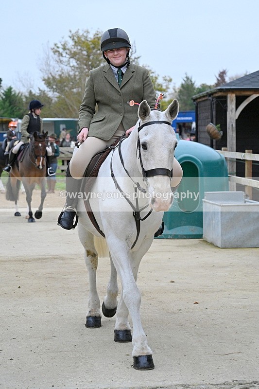 WJ7_5899 - Berks & Bucks - Children's Meet - The Old Farmhouse – Steventon.