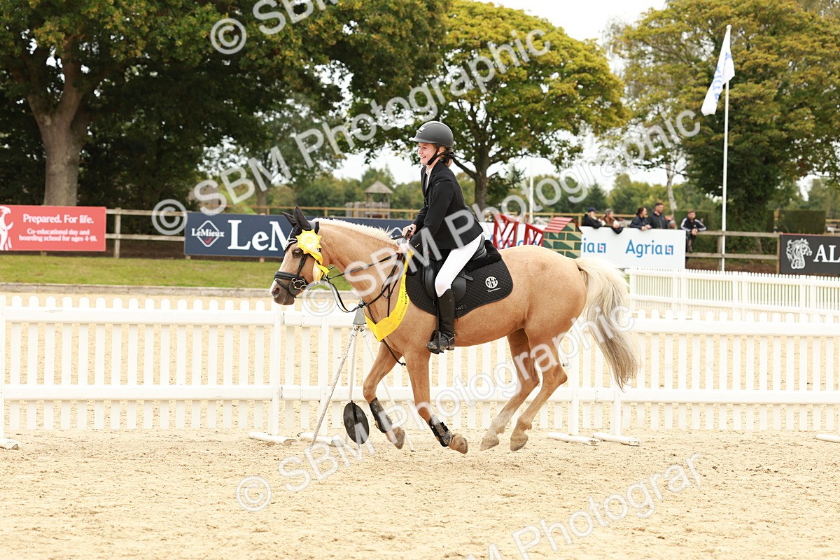 SBM_63912 - J12 - Junior Pony 55cm Championship