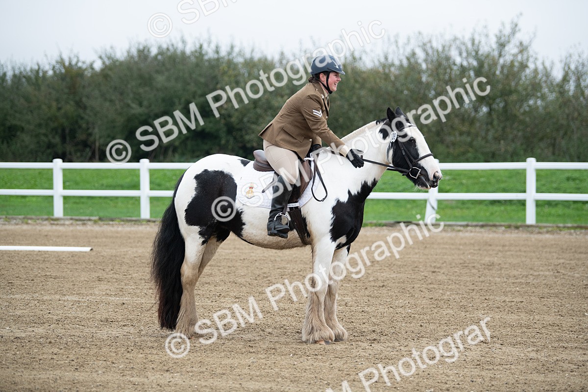 SBM_003444 - Introductory Test 3