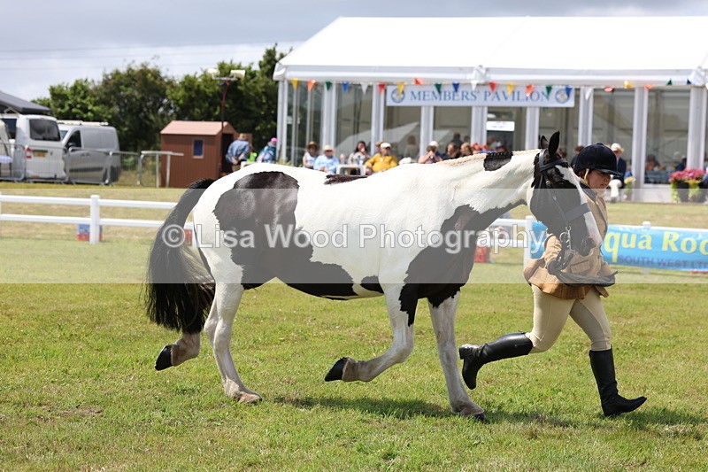 3E7A2146 - Class 10: Open Cob